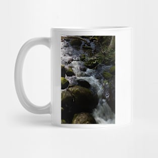 Taggerty Cascades #4 Mug